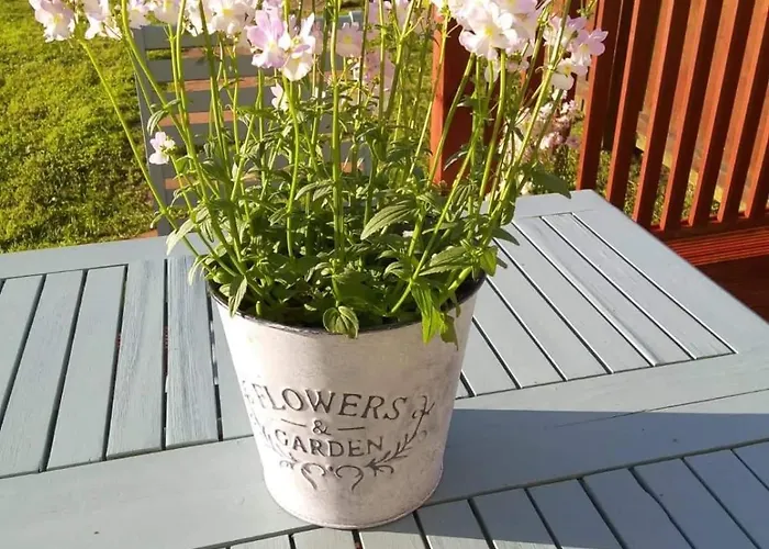 4 Bedroom House * 莱特肯尼